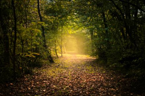 Adrien Tutin X8Xjpcltvr0 Unsplash
