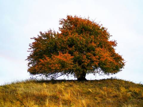 Alex Gherman 5Fdtibglfji Unsplash