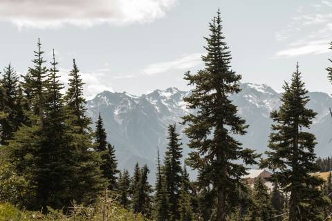Celine Druguet H8Zw Osxvcw Unsplash