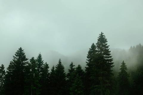 Doga Dogan Alfl1Xatxqe Unsplash