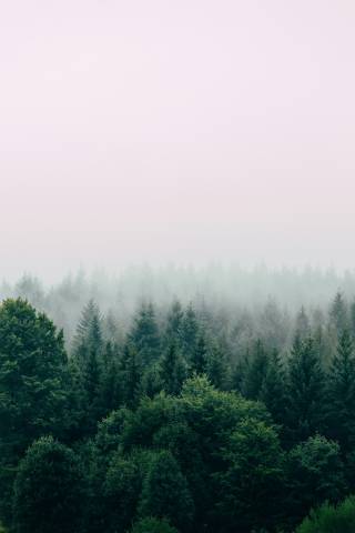 Filip Zrnzevic Qswg0Kjpqry Unsplash