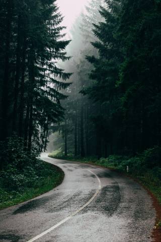 Filip Zrnzevic Emkxldko9K Unsplash