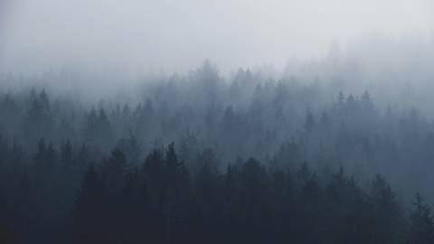 Paul Pastourmatzis Kt3Wlrl Bsg Unsplash