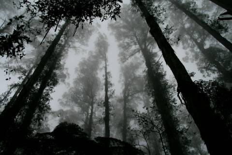 Phoebe Strafford Ebbp0Wrbmqs Unsplash