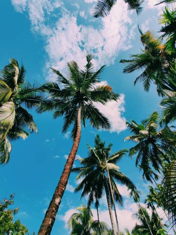 Sonaal Bangera Kpdo0Woxxec Unsplash
