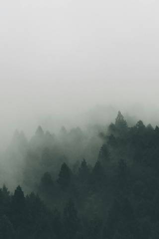 Staffan Kjellvestad Y1Qot82Fd8K Unsplash