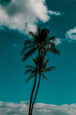 Taryn Kaahanui Qxy Pr8Uyzw Unsplash