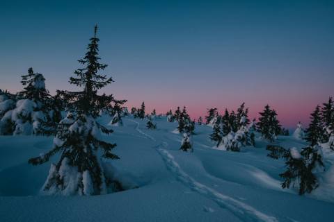 Theo Eilertsen Photography Ajhmqq12Xvi Unsplash