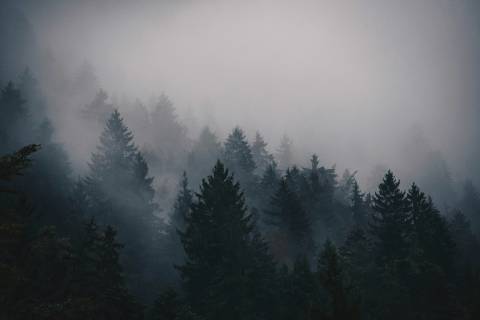 Thomas Griesbeck Bs Uxe8Wu5Y Unsplash