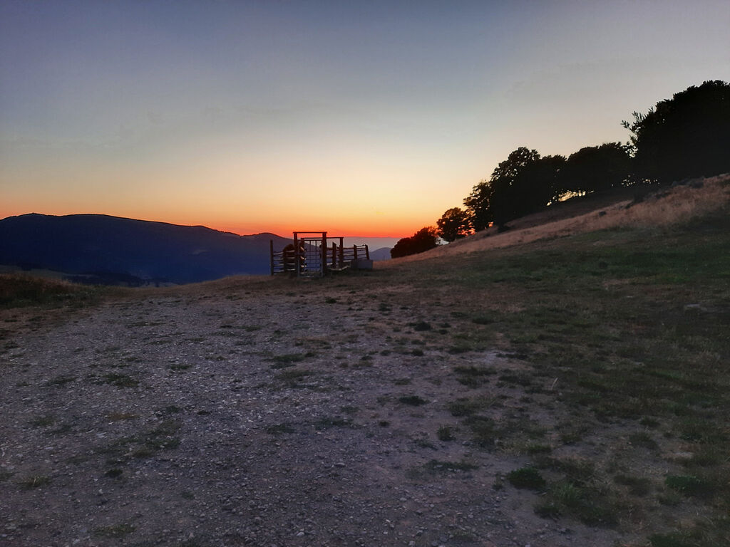 thumb 20220813210245 20220813 210244