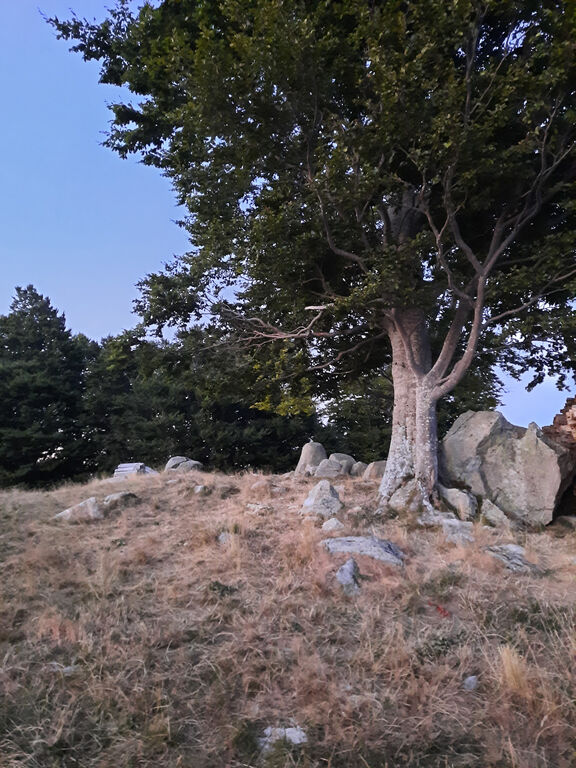 thumb 20220813210421 20220813 210420