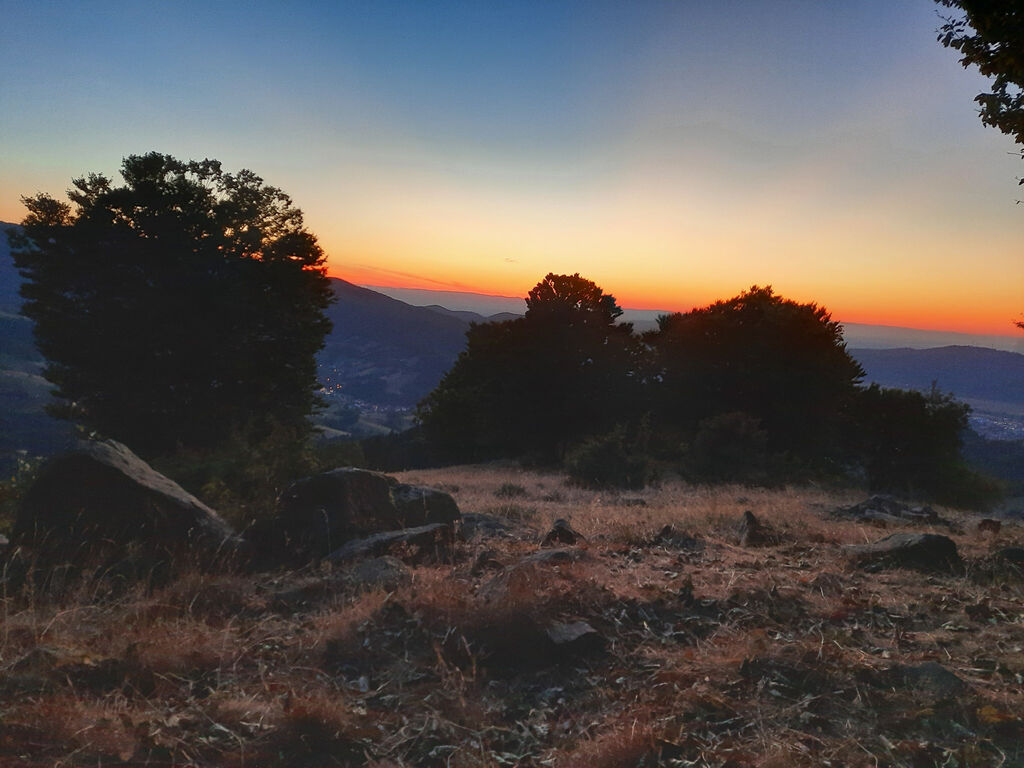 thumb 20220813211012 20220813 211012