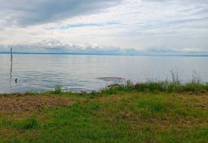 Der Bodensee