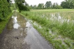 Überschwemmter Weg